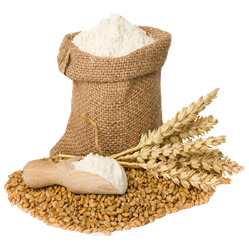 Product Preview Image