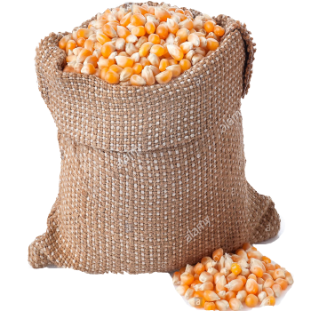 Product Preview Image